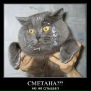 Олександр Пасічник фотография #33 (источник - https://vk.com/id137309860)
