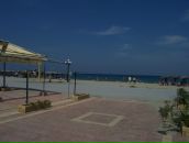 Душан Лазић фотография #15 (источник - https://vk.com/id80294352)