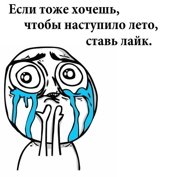 №14, Алина Михайлова №14, Алина Михайлова