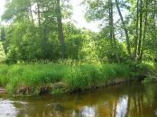 Наталля Сліж фотография #48 (источник - https://vk.com/id29106033)