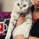 Фотография Бенедиктовой Надежды