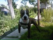 Андрій Горак фотография #29 (источник - https://vk.com/id50410921)