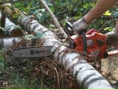 Фотография Кузовкова Михаила