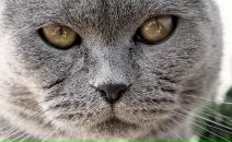 Тарас Нечипір фотография #37 (источник - https://vk.com/id7373172)