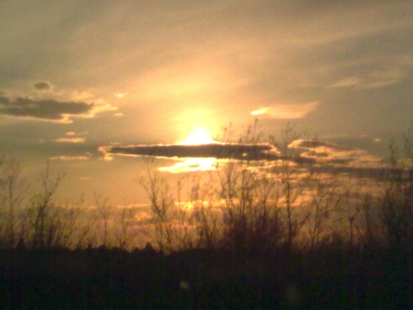 Дмитрий Мук фотография #49