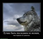 Фотография Черненко Сани