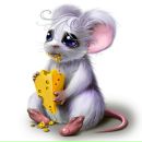 Фотография Самойленко Анны