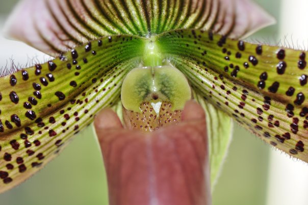  фото №22