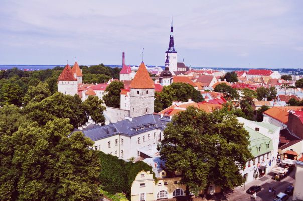 №8, Светлана Мешкова, Тамбов, Россия №8, Светлана Мешкова, Тамбов, Россия