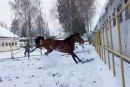 Оксана Яцків фотография #47 (источник - https://vk.com/id30610461)