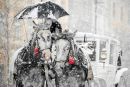 Фотография Петрова Ивана