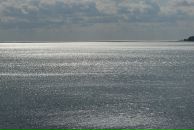 Денис Пузенко фотография #8 (источник - https://vk.com/id2951850)