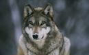 Фотография Ника Азаров