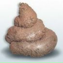 Денис Жажакін фотография #17 (источник - https://vk.com/id138610826)