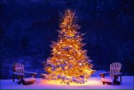 Фотография Скосаревой Татьяны