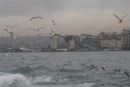 Taner Sağlam фотография #47 (источник - https://vk.com/id154274536)
