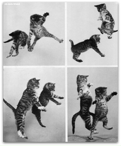 No Name фото №32