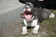 Фотография Савенковой Олеси