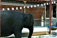 Владік Орловський фотография #50 (источник - https://vk.com/id9790383)