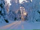 Вероніка Поручник фотография #38 (источник - https://vk.com/id143412724)