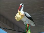 Фотография Маркова Юлия