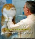 Дима Tryasunoff фотография #46 (источник - https://vk.com/id2384341)