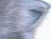 Лера Лоц фотография #7 (источник - https://vk.com/id57504657)