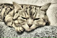 Фотография Бубнова Сергея