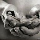 Маргаритка (: фотография #1