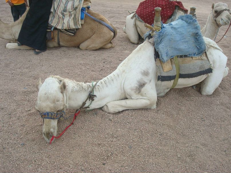 Иван Марченко фотография #18