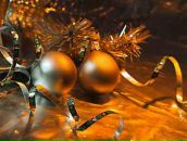 Фотография Flora Тани