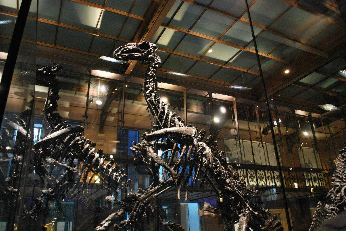 Алекс Андр фотография #45