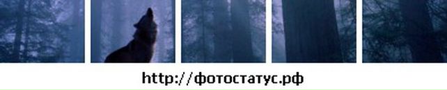 Віталій Дуб фотография #35 (источник - https://vk.com/id75801386)