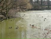 Міша Височан фотография #7 (источник - https://vk.com/id74563092)