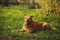 Фотография Васильева Романа