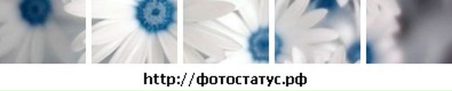 Саша Кізун фотография #12 (источник - https://vk.com/id33023355)