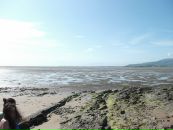 Коля Григорів фотография #37 (источник - https://vk.com/id81922509)