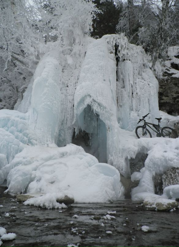 Дмитрий Канюков фотография #15