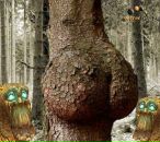 Игорь Упчк фотография #4 (источник - https://vk.com/id5239299)