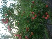 Віталік Гикавий фотография #3 (источник - https://vk.com/id65550734)