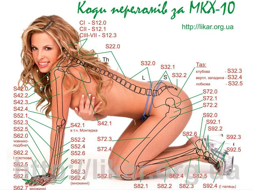 Sjava Бадричьком фотография #6