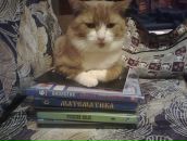 Фотография Олькович Натальи