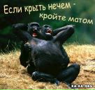 Фотография Червякова Глеба