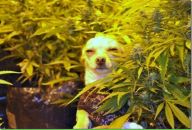 Володя Матіяшик фотография #2 (источник - https://vk.com/id19772760)