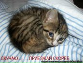 Юлія Кошкіна фотография #32 (источник - https://vk.com/id6791872)