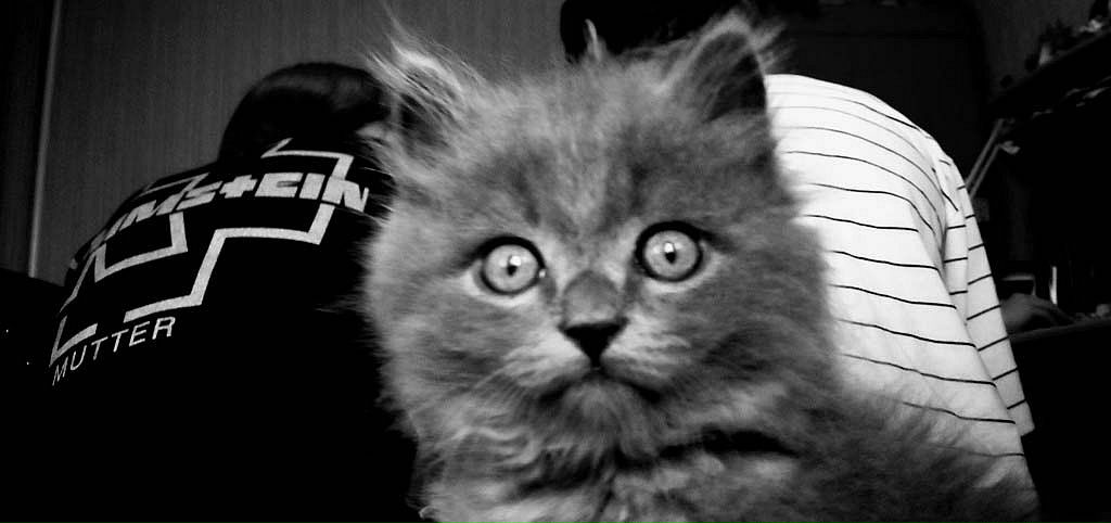 Kate Crik фото №22