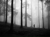Gar Usa фотография #8 (источник - https://vk.com/id3876853)
