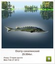Людмила Бабікова фотография #29 (источник - https://vk.com/id155289329)