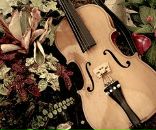 Анастасія Белянська фотография #24 (источник - https://vk.com/id168366212)