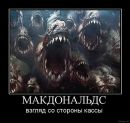 Владислав Ядрихінський фотография #23 (источник - https://vk.com/id32882681)